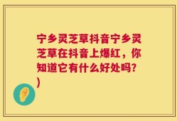 宁乡灵芝草抖音宁乡灵芝草在抖音上爆红，你知道它有什么好处吗？)