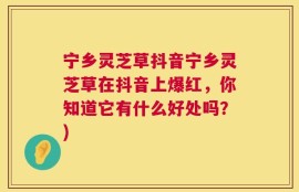 宁乡灵芝草抖音宁乡灵芝草在抖音上爆红，你知道它有什么好处吗？)