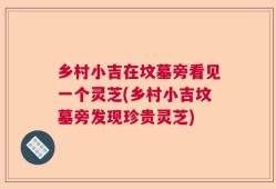 乡村小吉在坟墓旁看见一个灵芝(乡村小吉坟墓旁发现珍贵灵芝)