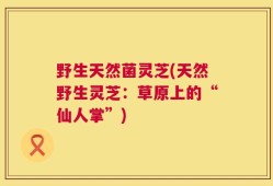 野生天然菌灵芝(天然野生灵芝：草原上的“仙人掌”)