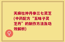 天麻杜仲丹参三七灵芝(中药配方“五味子灵芝丹”的制作方法及功效解析)