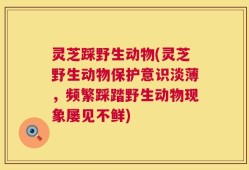 灵芝踩野生动物(灵芝野生动物保护意识淡薄，频繁踩踏野生动物现象屡见不鲜)