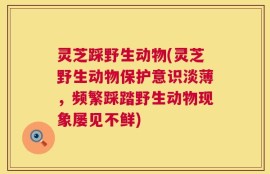 灵芝踩野生动物(灵芝野生动物保护意识淡薄，频繁踩踏野生动物现象屡见不鲜)