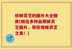 放鲜灵芝的图片大全图库(精选多种品质鲜灵芝图片，带你领略灵芝之美！)
