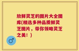 放鲜灵芝的图片大全图库(精选多种品质鲜灵芝图片，带你领略灵芝之美！)