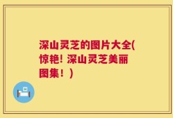 深山灵芝的图片大全(惊艳! 深山灵芝美丽图集！)