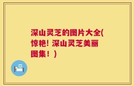 深山灵芝的图片大全(惊艳! 深山灵芝美丽图集！)