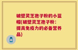 破壁灵芝孢子粉的小蓝帽(破壁灵芝孢子粉：提高免疫力的必备营养品)