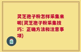 灵芝孢子粉怎样采集来呢(灵芝孢子粉采集技巧：正确方法和注意事项)