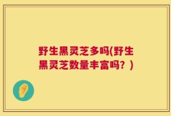 野生黑灵芝多吗(野生黑灵芝数量丰富吗？)