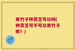 用竹子种灵芝可以吗(种灵芝可不可以用竹子呢？)