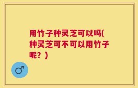 用竹子种灵芝可以吗(种灵芝可不可以用竹子呢？)