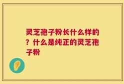 灵芝孢子粉长什么样的？什么是纯正的灵芝孢子粉