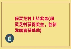 程灵芝村上给奖金(程灵芝村获得奖金，创新发展喜获殊荣)