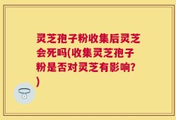灵芝孢子粉收集后灵芝会死吗(收集灵芝孢子粉是否对灵芝有影响？)