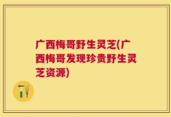 广西梅哥野生灵芝(广西梅哥发现珍贵野生灵芝资源)