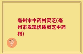 亳州市中药材灵芝(亳州市发现优质灵芝中药材)