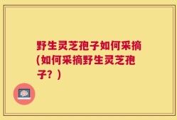 野生灵芝孢子如何采摘(如何采摘野生灵芝孢子？)