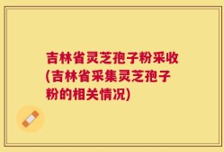 吉林省灵芝孢子粉采收(吉林省采集灵芝孢子粉的相关情况)