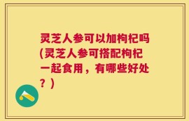灵芝人参可以加枸杞吗(灵芝人参可搭配枸杞一起食用，有哪些好处？)