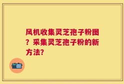 风机收集灵芝孢子粉图？采集灵芝孢子粉的新方法？