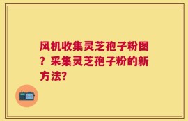 风机收集灵芝孢子粉图？采集灵芝孢子粉的新方法？