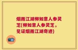 烟雨江湖柳如意人参灵芝(柳如意人参灵芝，见证烟雨江湖奇迹)