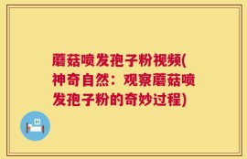 蘑菇喷发孢子粉视频(神奇自然：观察蘑菇喷发孢子粉的奇妙过程)