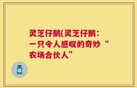 灵芝仔鹅(灵芝仔鹅：一只令人感叹的奇妙“农场合伙人”
