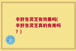 半野生灵芝有效果吗(半野生灵芝真的有用吗？)