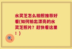 水灵芝怎么拍照推荐好看(如何拍出漂亮的水灵芝照片？赶快看这里！)
