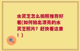 水灵芝怎么拍照推荐好看(如何拍出漂亮的水灵芝照片？赶快看这里！)