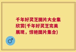 千年好灵芝图片大全集欣赏(千年好灵芝完美展现，惊艳图片集合)