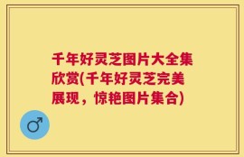 千年好灵芝图片大全集欣赏(千年好灵芝完美展现，惊艳图片集合)
