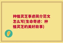 种植灵芝事迹简介范文怎么写(生命奇迹：种植灵芝的美好故事)