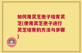 如何用灵芝孢子培育灵芝(使用灵芝孢子进行灵芝培育的方法与步骤)