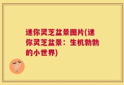 迷你灵芝盆景图片(迷你灵芝盆景：生机勃勃的小世界)