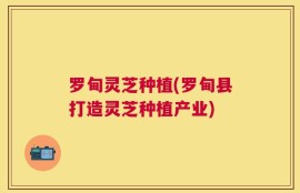 罗甸灵芝种植(罗甸县打造灵芝种植产业)
