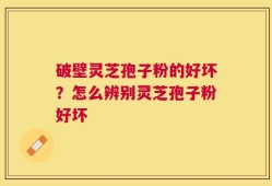 破壁灵芝孢子粉的好坏？怎么辨别灵芝孢子粉好坏