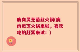 鹿肉灵芝菌丝火锅(鹿肉灵芝火锅来啦，喜欢吃的赶紧来试！)