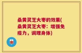 桑黄灵芝大枣的效果(桑黄灵芝大枣：增强免疫力，调理身体)