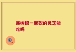 连树根一起砍的灵芝能吃吗