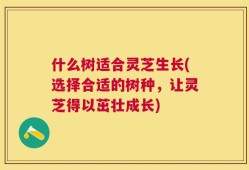 什么树适合灵芝生长(选择合适的树种，让灵芝得以茁壮成长)