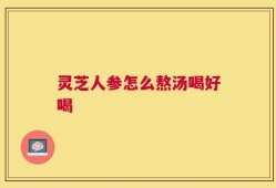 灵芝人参怎么熬汤喝好喝