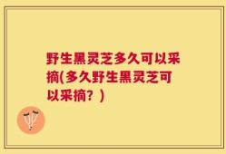 野生黑灵芝多久可以采摘(多久野生黑灵芝可以采摘？)