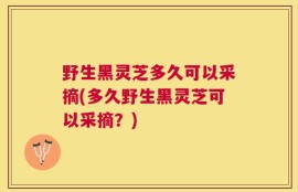 野生黑灵芝多久可以采摘(多久野生黑灵芝可以采摘？)