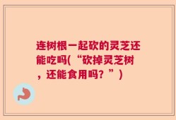 连树根一起砍的灵芝还能吃吗(“砍掉灵芝树，还能食用吗？”)