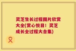 灵芝生长过程图片欣赏大全(赏心悦目！灵芝成长全过程大合集)