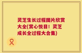 灵芝生长过程图片欣赏大全(赏心悦目！灵芝成长全过程大合集)