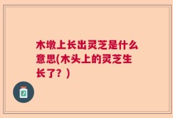 木墩上长出灵芝是什么意思(木头上的灵芝生长了？)